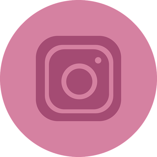 instagram logo